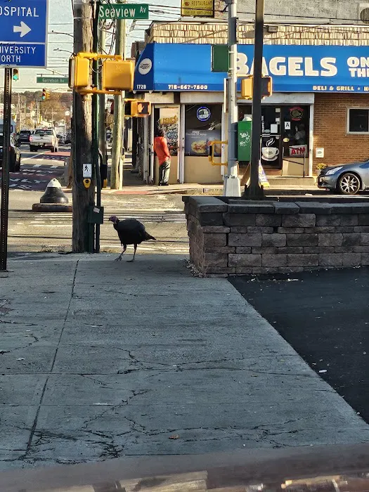 Bagels on the Boulevard Picture 8