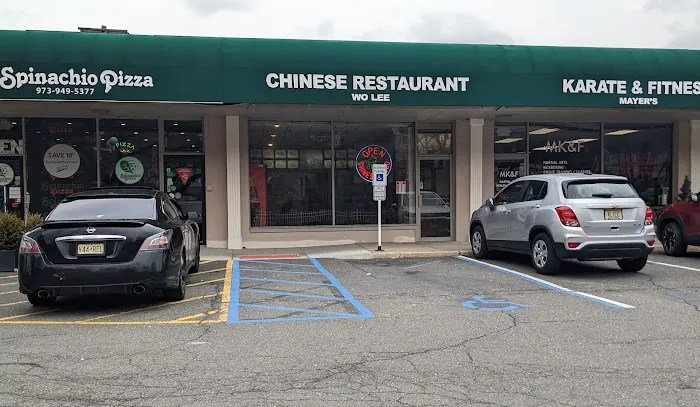 New Wo Lee Chinese Restaurant Picture 3