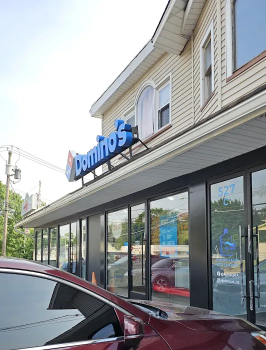 Domino's Pizza Picture 2