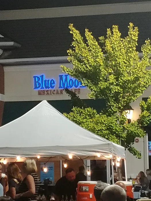 Blue Moon Mexican Cafe Picture 5