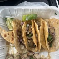 Tacos Es Vida / Tacos is life ico