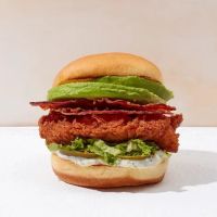 Shake Shack Wayne ico