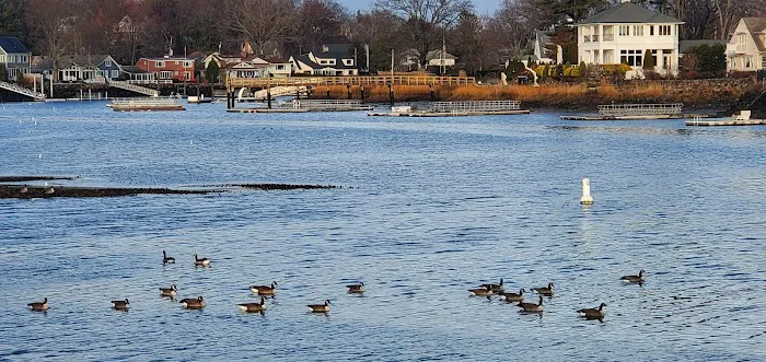 Duck Inn Bar & Grill Picture 8