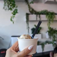 Pros & Cones ico