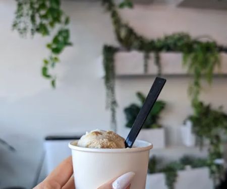 Pros & Cones