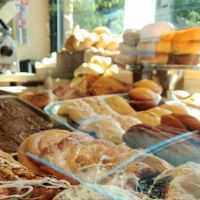 Vasi Deli ico