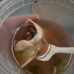 Empire Chinese Restaurant