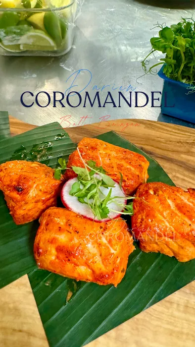 Coromandel Cuisine of India Picture 4