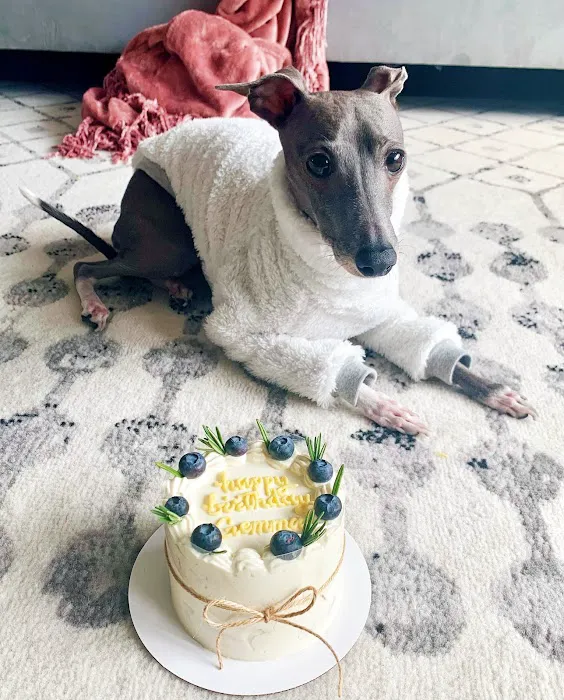 Milky's Pawfections Pet Cakes Picture 1