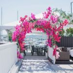 The Cove Restaurant & Oyster Bar