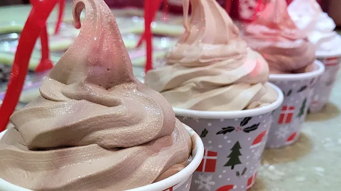YOLO Yogurt & Desserts- Frozen Yogurt, Crepe, Gelato, Acai Bowls and more... Picture 10