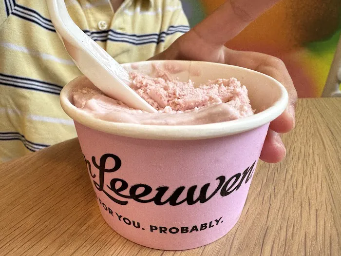 Van Leeuwen Ice Cream Picture 9