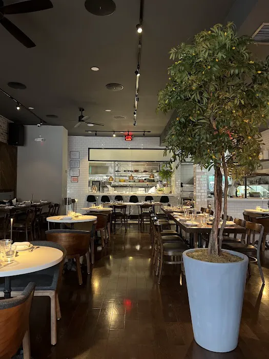 Plado Tasting Bar - Glen Cove Picture 9
