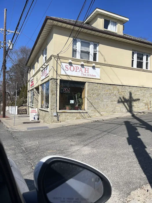 Sopah Thai Kitchen Picture 8