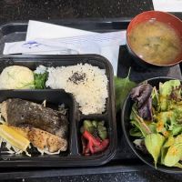 Teinei Ya Ramen (Jericho Store) ico