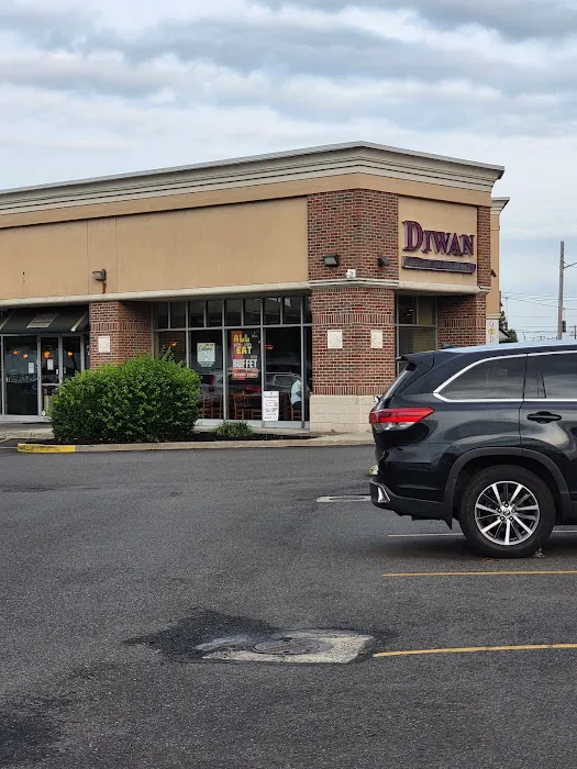 Diwan Indian Restaurant and Bar Picture 7