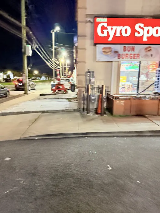 Gyro Spot Picture 2