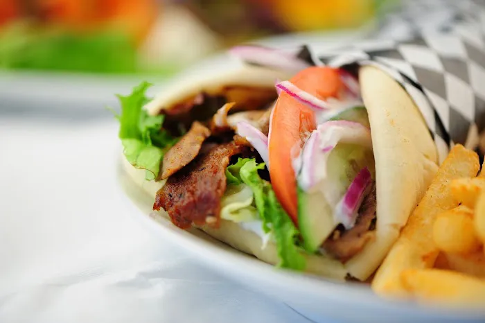 Gyro Spot Picture 10