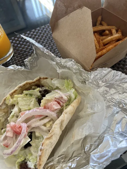 Gyro Spot Picture 8