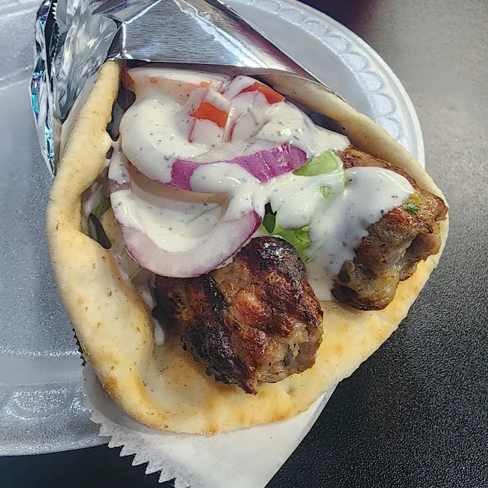 Gyro Spot Picture 3