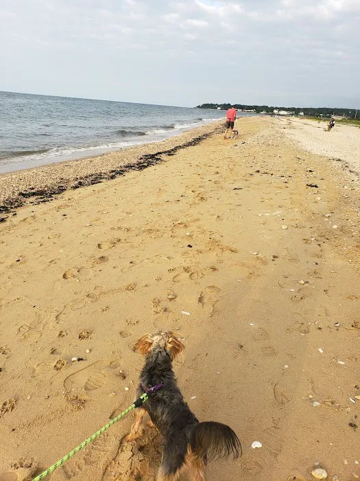 Piping Rock Beach Club Picture 8