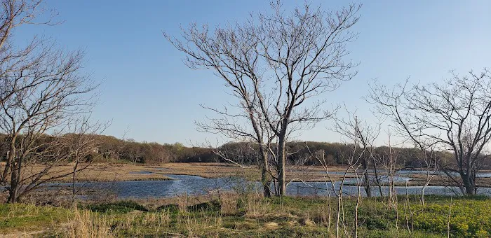 Piping Rock Beach Club Picture 2