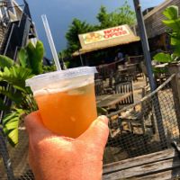 Ship Wreck Tavern ico