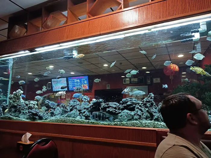 Hard Wok Buffet Picture 6