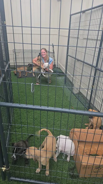 Bark ‘n Brews Picture 5