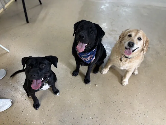 Bark ‘n Brews Picture 2