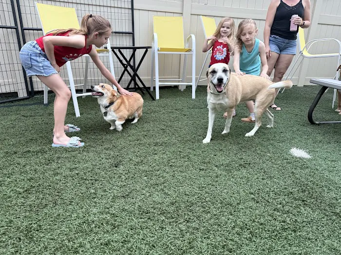 Bark ‘n Brews Picture 4