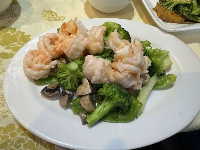 The New Mandarin Chinese Restaurant of New City Picture 1