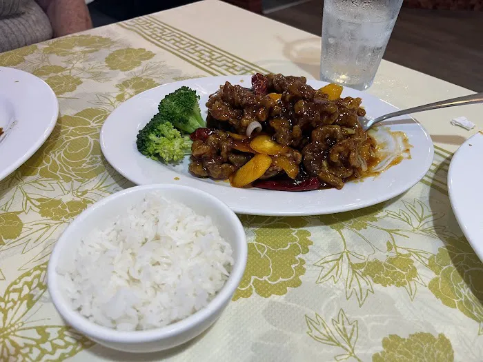 The New Mandarin Chinese Restaurant of New City Picture 10