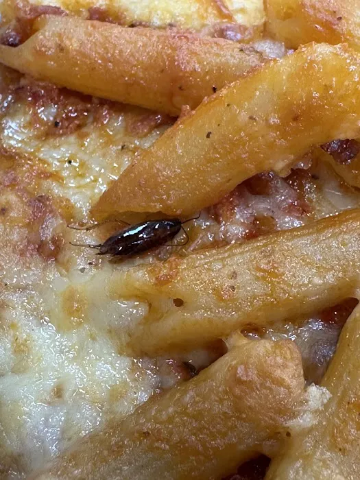 Ray's Pizza & Restaurant Picture 5