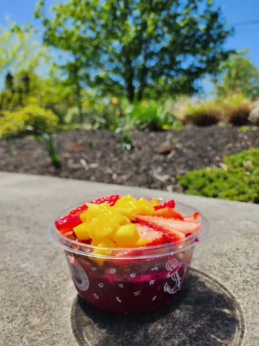 Playa Bowls Picture 10