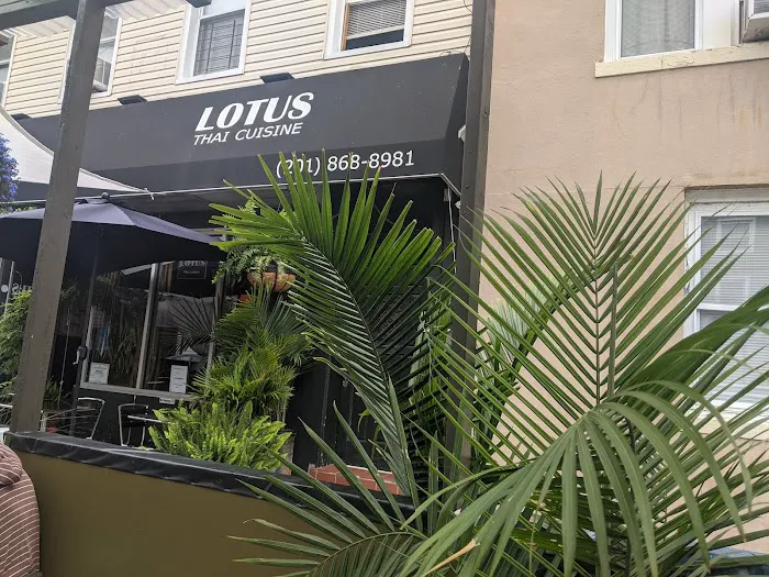 Lotus Thai Cuisine Picture 5
