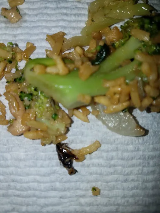 Chef King Garden Picture 5