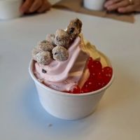 Luv Yogurt ico