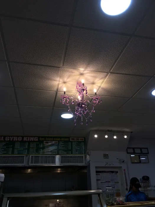 Halal Gyro King @ Belmont Ave Picture 8