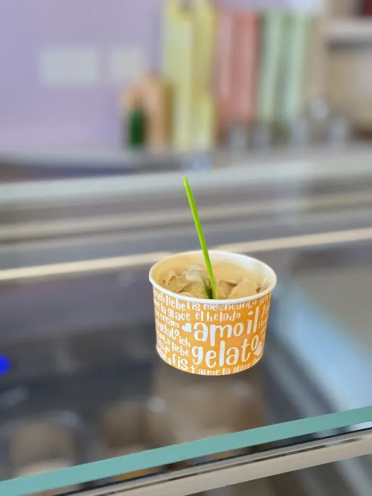 Cheeks & Bean Gelato Co. Picture 6