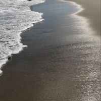 Breezy Point Surf Club ico