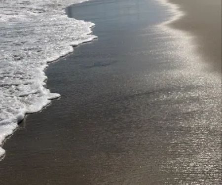 Breezy Point Surf Club