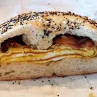 Not Just Bagels ico
