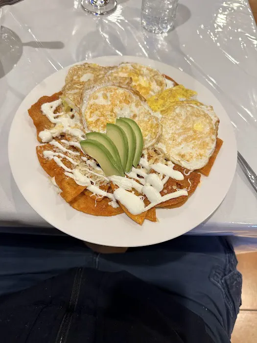 Avocado Mexican Restaurant & Coffee Shop Picture 5