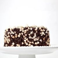 Mother Mousse ico