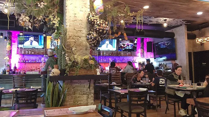 Cantina Valencia Tex-Mex & Tequila Bar Picture 2