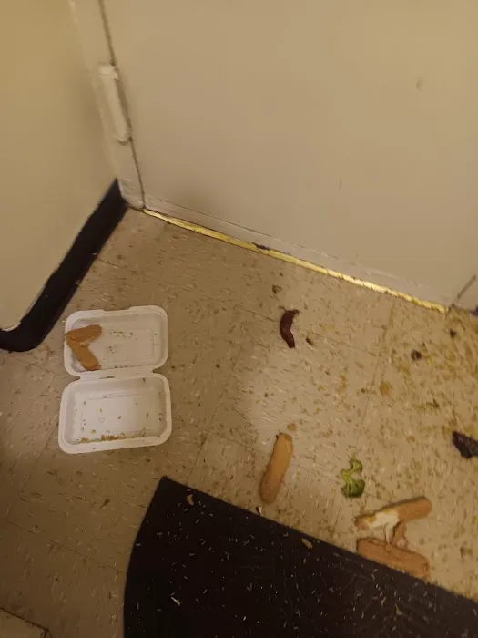 New Everybody's Kitchen Picture 2