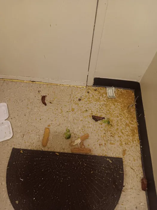 New Everybody's Kitchen Picture 4