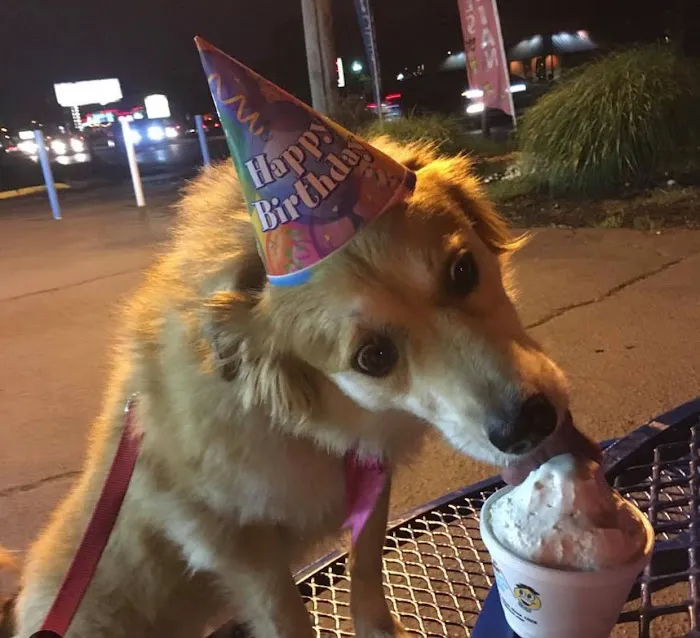 Ralph's Famous Italian Ices Picture 5