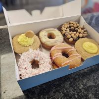 Donut World ico